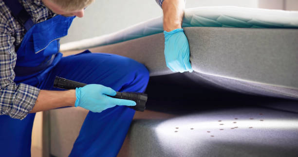 Best Local Pest Control Services  in Piggott, AR